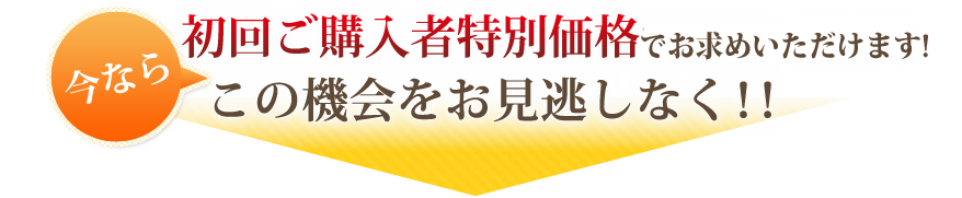 今なら、初回ご購入者特別価格でお試しできす！
この機会をお見逃しなく！！